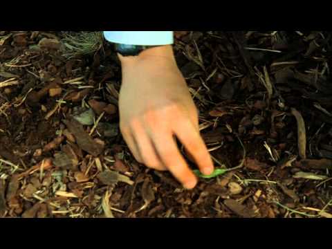 Everything Is Illuminated - Inside out