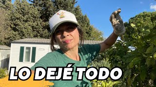 Así dejé Madrid para tener esta finca en Cádiz. Huí de mi zona de confort. Poda de limonero. Vlog261
