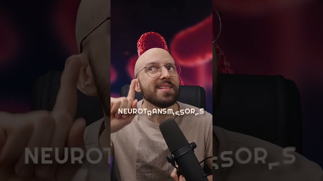 como BACTÉRIAS CONTROLAM SUA MENTE?