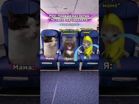 Мемы которые помогают котикам 😼