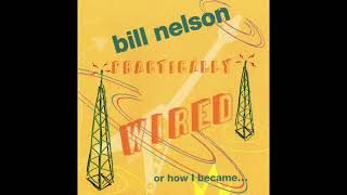 Bill Nelson - Friends From Heaven