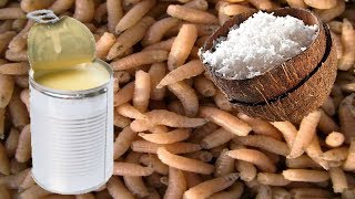 Вероятный клев рыбы в сланцах