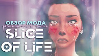 Обзор мода Slice of life. Кусочек реализма в Симс 4. (Скачать на русском)
