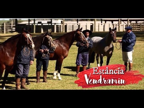 Engrenagem VITORIOSA!