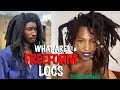 What Are FREEFORM Locs Tips Tricks For Dreadlock Journeys