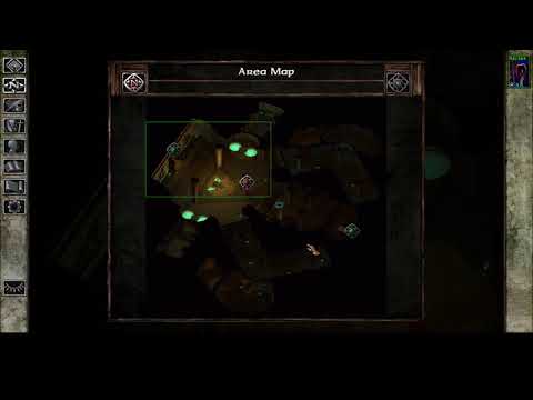 Solo HoF Insane Dragon Disciple Semi blind - Icewind Dale EE - part 9 Eating dem brainz