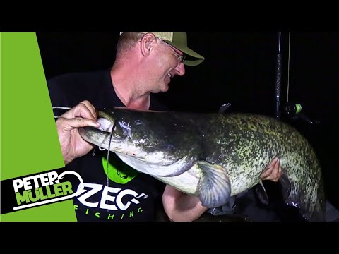 Catfish fishing - choosing a spot on a small river #fishing #angeln