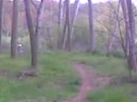 pistino a piobesi torinese