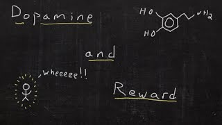 Dopamine and Reward