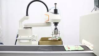 Python650-B6 SCARA Robot