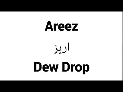 How to Pronounce Areez! - Middle Eastern Names