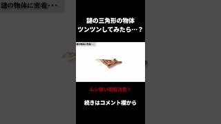 謎の三角形の物体ツンツンしてみた