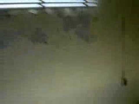 Fort McClellan Video 3