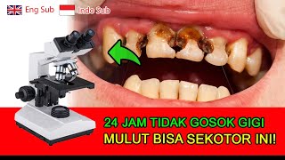 Download lagu Zoom 1000x Kotoran Gigi dan Mulut Eksperimen di Bawah Mikroskop | Experiment Under Microscope mp3