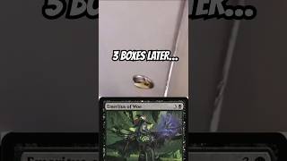Some guys have all the luck…