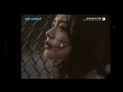 LÀ DO EM XUI THÔI - SOFIA X KHÓI X CHÂU ĐĂNG KHOA (LoFi Vers T-Bin)