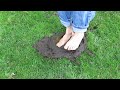 Fresh Clean Feet Into Cow Dung