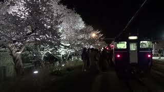 越後線 キハ40･48系 夜桜Shu*kura 分水駅発車
