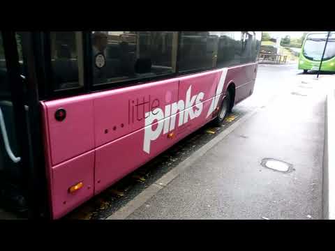 ride the little pinks 82 5