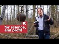 Making Artificial Earthquakes with a Four-Tonne Steel Ball Making Artificial Earthquakes with a Four-Tonne Steel Ball