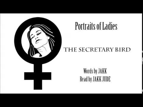12. The Secretary Bird