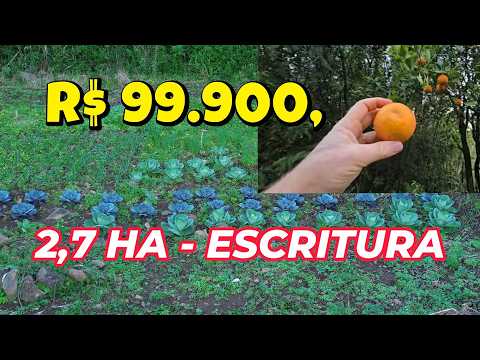 [1197] CHÁCARA EM SANTO ANTÔNIO DA PATRULHA  2,7HA ESCRITURA  FIBRA ÓTICA R$ 99.900, #chacara #sitio