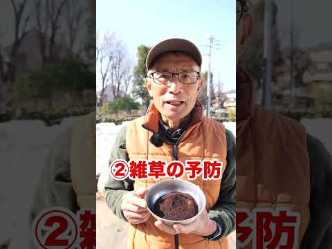 庭のコーヒーかすの使い方
