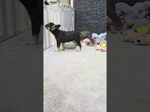 Video 2