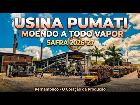 Usina Pumaty - Joaquim Nabuco-PE, Outubro 2026.