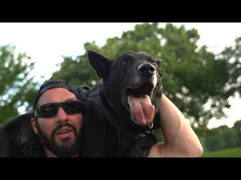 K9 Hurricane - Unleashed Episode 2