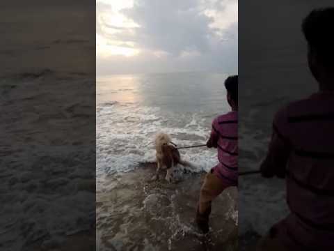 Sunrise in prarthana theatre beach