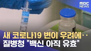 새 코로나19 변이 우려에‥질병청 백신 아직 유효 (2026.04.17/5시뉴스와경제/MBC)