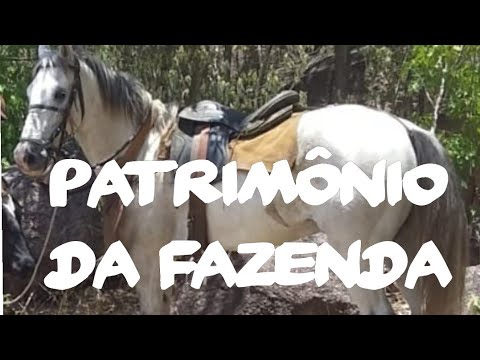Toada patrimônio da fazenda cantada por luciano sarmento