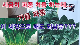 시금치 파종 처음 하는데... 가을 파종 이 씨앗으로 해도 되나요. 육가종 보다도 더 맛이 좋은가요?  시금…