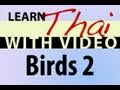 Learn Thai with Video - Birds 2