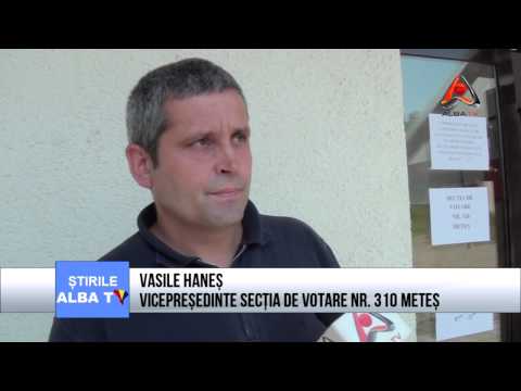 METES  UN SIMPATIZANT APOLITIC VICEPRESEDINTELE AL SECTIEI DE VOTARE NR 310