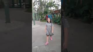 Bêta tham quan chim vẹt