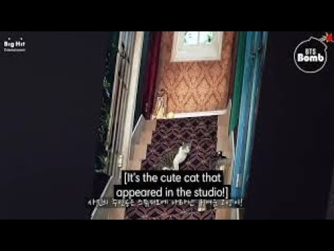 (BANGTAN BOMB) BTS CUTE INTERACTION MOMENTS | BANGTAN BOMB MOMENTS (ENG SUB)💜