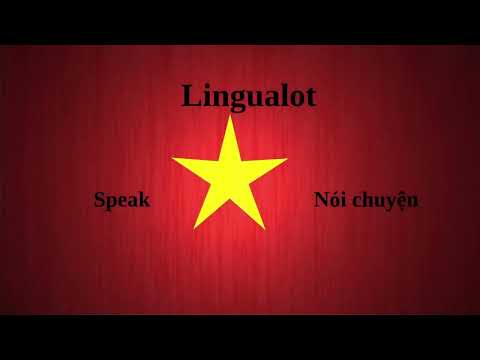 TOP 100 Basic  Vietnamese (Tiếng Việt) Verbs Conjugation #vietnamese #language #learning #tiengviet