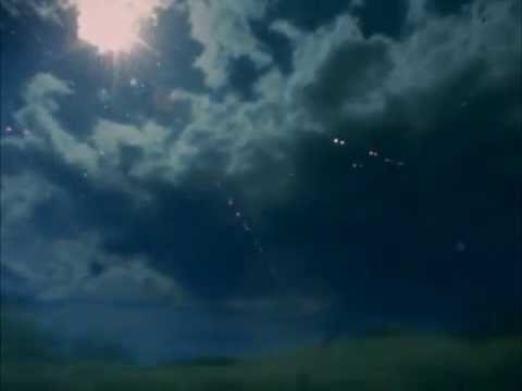 Antonio Brandolini - Landing