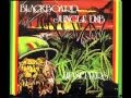 Lee Perry and The Upsetters - Black Board Jungle Dub - 07 - Fever Grass Dub