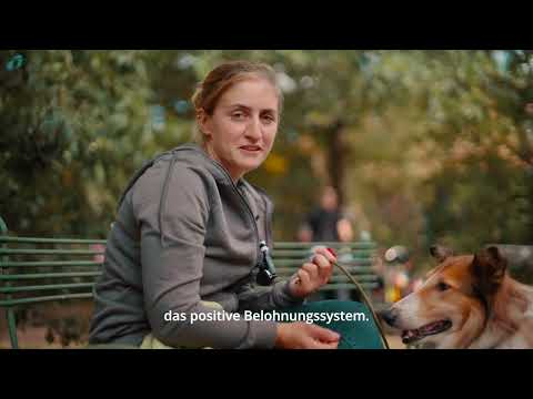 Exklusive Behind the Scenes Aufnahmen von LASSIE - Ein neues Abenteuer | Part 4: Know-How II