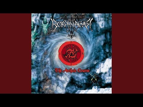 Nocturnal Vision video thumbnail
