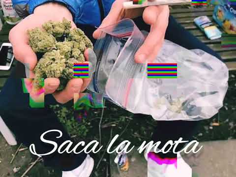 Vinny R - Saca La Mota (Aud. Oficial)