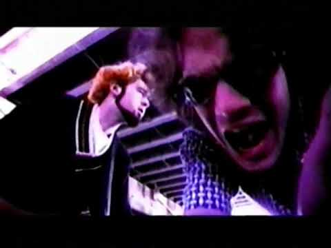 Artist - Rainbow Butt Monkeys