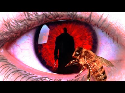 Tráiler en español de Candyman: El dominio de la mente