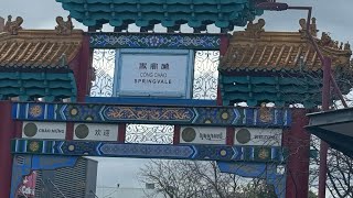 Copy cat. Anh đã từng 8/6/25