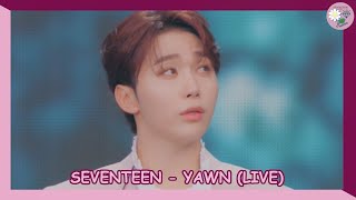 Download lagu SEVENTEEN (세븐틴) - Yawn '하품' (Live) [SUB ESPAÑOL   LYRICS] mp3