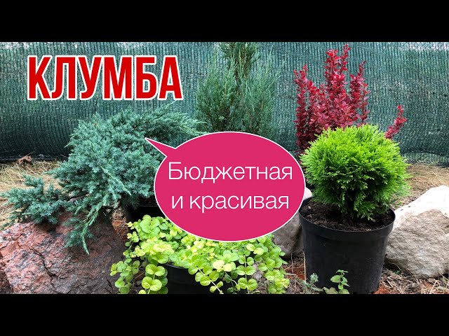 Как Оформить Клумбу На Даче Своими Руками