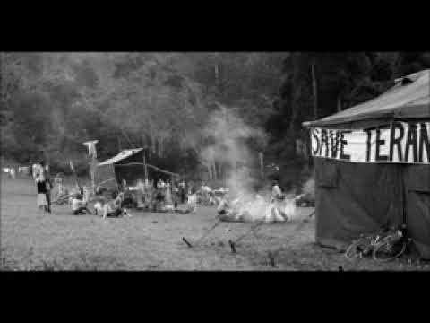 Terania Rainforest Logging Protest Story - Schools Movie